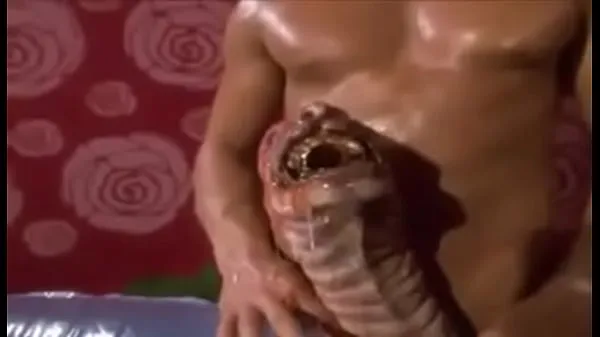Titta på Monster Penis WTF färska klipp