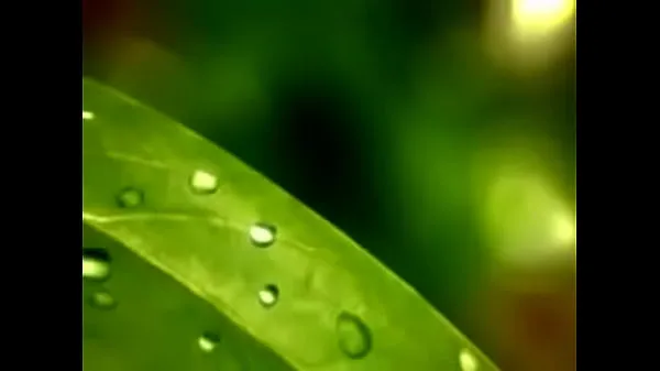 Watch Short video clip-nature fresh Clips