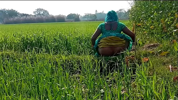 Tonton Rubbing the country bhaji in the wheat field Klip baharu
