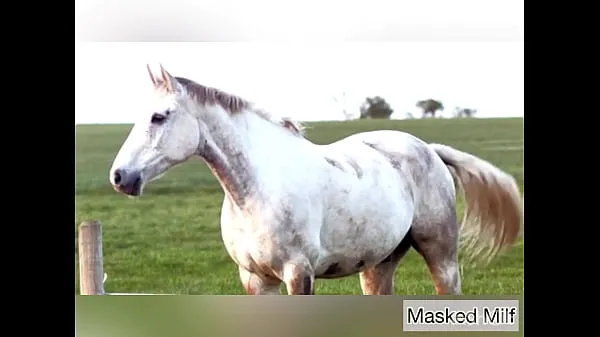 Bekijk Horny Milf takes giant horse cock dildo compilation | Masked Milf nieuwe clips